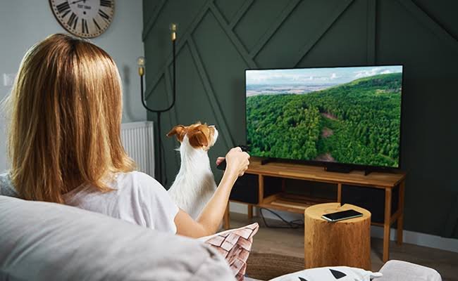Apprenez à Regarder la TV sur Smart TV avec les meilleures méthodes pour un streaming rapide, stable et sans interruption.
